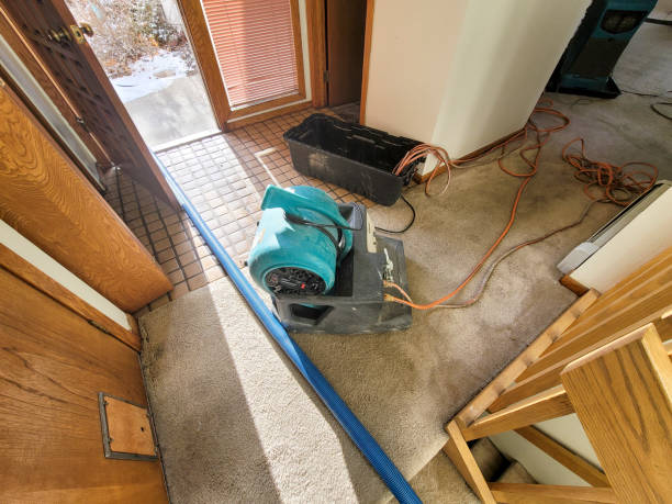 Best Commercial water damage restoration  in Minden, NE