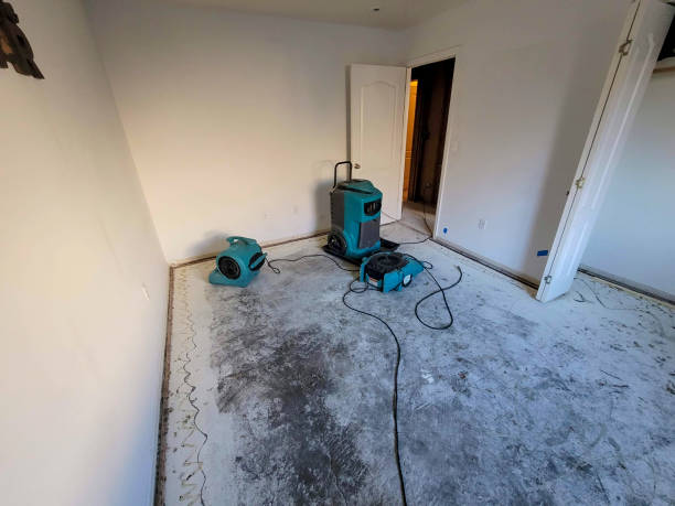 Best Water damage restoration process  in Minden, NE