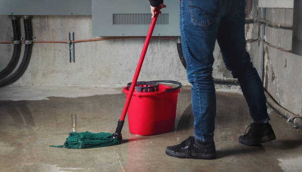 Best Basement water damage restoration  in Minden, NE
