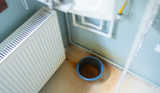 Best Professional water damage repair  in Minden, NE